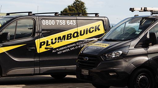 Professional Ponsonby Plumbers